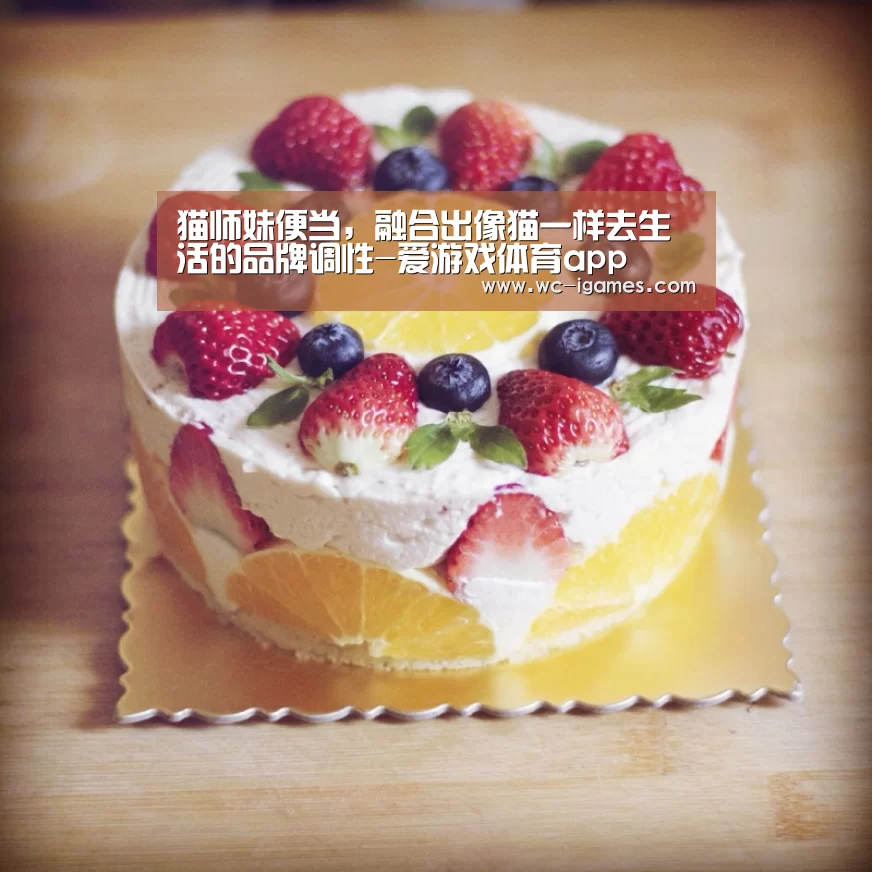 猫师妹便当,融合出像猫一样去生活的品牌调性-爱游戏体育app(图2) 体育赛事直播