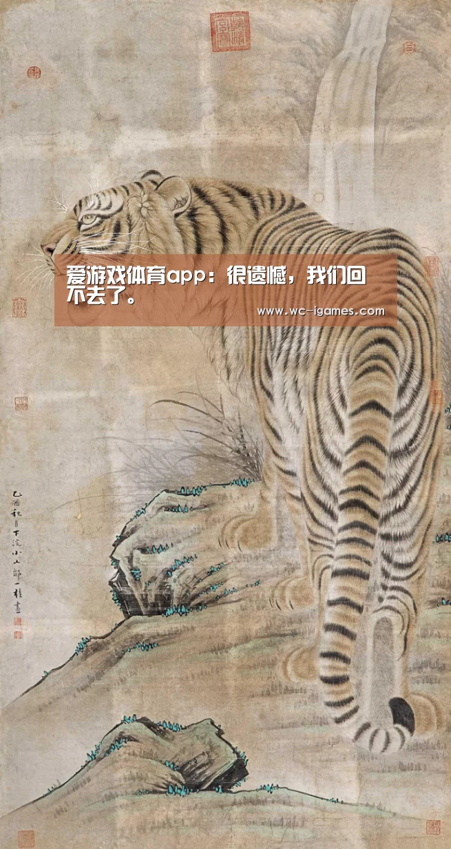 爱游戏体育app:很遗憾,我们回不去了。(图2) 爱游戏app