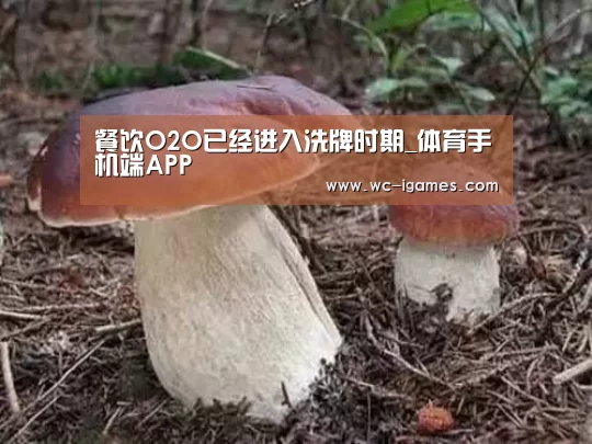 餐饮O2O已经进入洗牌时期_体育手机端APP(图3) 爱游戏app