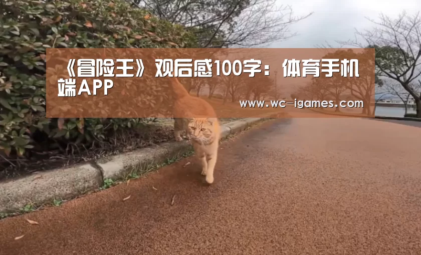 《冒险王》观后感100字:体育手机端APP(图3) 体育手机端APP
