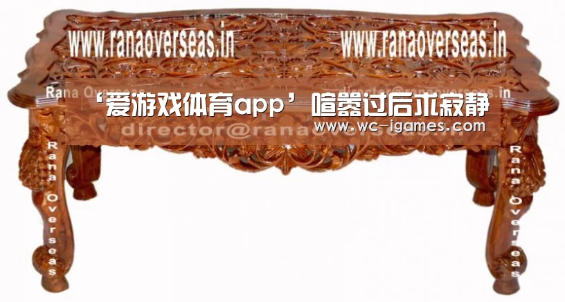‘爱游戏体育app’喧嚣过后求寂静(图1) 爱游戏app
