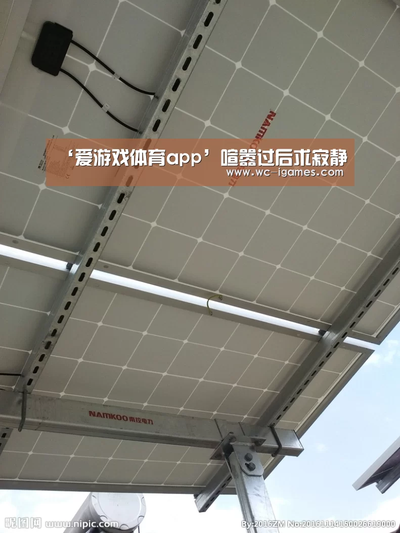 ‘爱游戏体育app’喧嚣过后求寂静(图2) 体育手机端APP