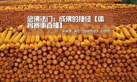 念佛法门:成佛的捷径【体育赛事直播】(图2) 体育手机端APP