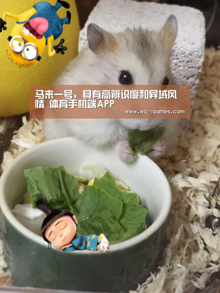 马来一号,具有高辨识度和异域风情_体育手机端APP(图1) 体育手机端APP